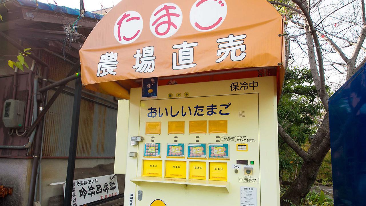 Matsukaze Toyota (Aichi) Exterior foto